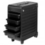 V24 hairdressing, coloring and storage trolley