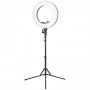 Associate Article  119781 LAMPA PIERŚCIENIOWA RING LIGHT 18" 48W LED CZARNA + STATYW