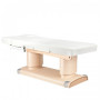 Massage Table 123557 ELECTRIC SPA TABLE QAUS HEATED HOT