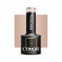 OCHO NAILS Hybrid varnish brown 801 -5 g