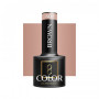 OCHO NAILS Hybrid varnish brown 802 -5 g