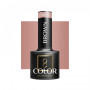 OCHO NAILS Lakier hybrydowy brown 803 -5 g 