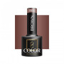 OCHO NAILS Hybrid varnish brown 806 -5 g