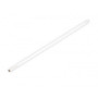 Lampadina (lampada fluorescente) 20W per lampada slim