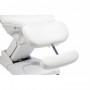 Girta 4 Motors Electric Beauty Chairs