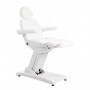 Girta 4 Motors Electric Beauty Chairs