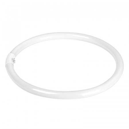 Ampoule (lampe fluorescente) pour la lampe Ring 12' 35W 