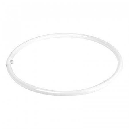 Lampadina (lampada fluorescente) per lampada Ring 18' 55W