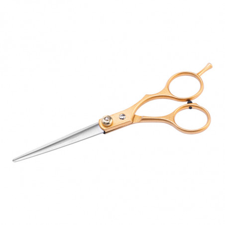 Snippex hairdressing scissors 6.0 gold 