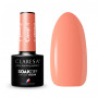 CLARESA CORAL 004 vernis hybride -5g 