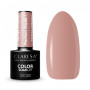 CLARESA PERFECT NUDE 1 -5g esmalte de uñas híbrido