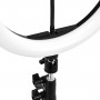 GLOW lampa pierścieniowa ring 13 RGB bsc ze statywem 10W 