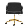 Royale Velvet Luxury Chair in Grey from the back