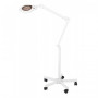 crux led magnifying lamp 