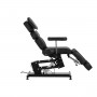 Pro Ink 3710 Electric Tattoo Chair