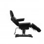 Fauteuil de tatouage Pro Ink 604 noir 