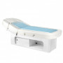 Table de Massage Aqua Spa Chromothérapie 4 Moteurs