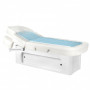 Table de Massage Aqua Spa Chromothérapie 4 Moteurs